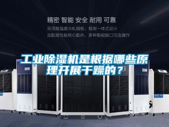 企業(yè)新聞工業(yè)除濕機(jī)是根據(jù)哪些原理開展干躁的？
