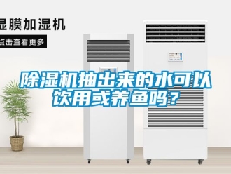 企業新聞除濕機抽出來的水可以飲用或養魚嗎？