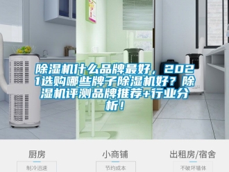 企業(yè)新聞除濕機什么品牌最好，2021選購哪些牌子除濕機好？除濕機評測品牌推薦+行業(yè)分析！
