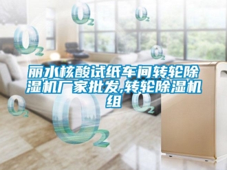 企業(yè)新聞麗水核酸試紙車間轉(zhuǎn)輪除濕機(jī)廠家批發(fā),轉(zhuǎn)輪除濕機(jī)組
