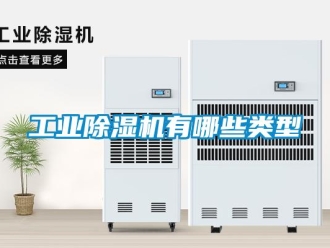 企業(yè)新聞工業(yè)除濕機(jī)有哪些類型