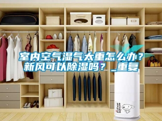 企業新聞室內空氣濕氣太重怎么辦？新風可以除濕嗎？_重復