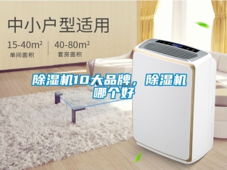 企業新聞除濕機10大品牌，除濕機 哪個好