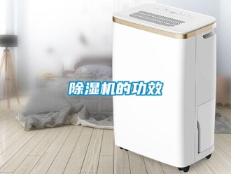 企業(yè)新聞除濕機(jī)的功效