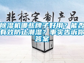 行業新聞除濕機哪些牌子好用？能否有效防止潮濕？事實告訴你答案