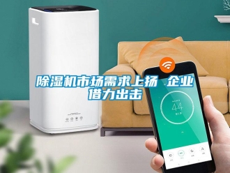 企業(yè)新聞除濕機(jī)市場(chǎng)需求上揚(yáng) 企業(yè)借力出擊