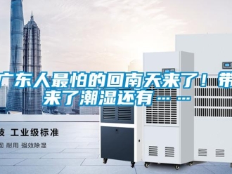 行業(yè)新聞廣東人最怕的回南天來了！帶來了潮濕還有……
