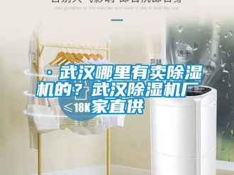 企業新聞·武漢哪里有賣除濕機的？武漢除濕機廠家直供