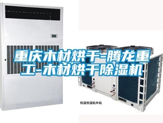 行業新聞重慶木材烘干-騰龍重工-木材烘干除濕機