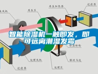 知識百科智能除濕機一觸即發，即可遠離潮濕發霉
