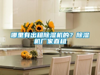 行業(yè)新聞哪里有出租除濕機(jī)的？除濕機(jī)廠家直租