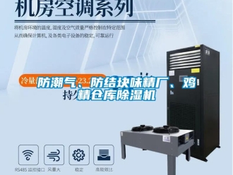 企業(yè)新聞防潮氣、防結(jié)塊味精廠、雞精倉庫除濕機