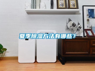 企業(yè)新聞夏季除濕方法有哪些？