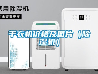 企業新聞干衣機價格及圖片（除濕機）