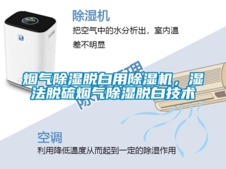 知識百科煙氣除濕脫白用除濕機，濕法脫硫煙氣除濕脫白技術