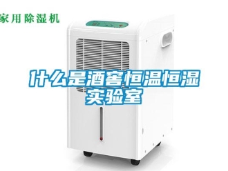 知識百科什么是酒窖恒溫恒濕實(shí)驗(yàn)室