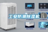 工業(yè)防潮除濕機(jī)