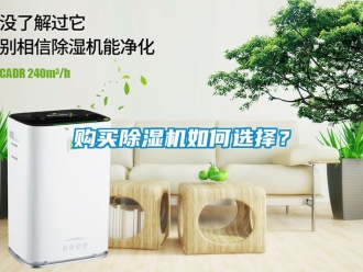 行業(yè)新聞購買除濕機如何選擇？