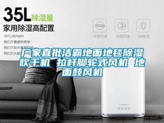 企業(yè)新聞廠家直批潔霸地面地毯除濕吹干機 拉桿腳輪式風機 地面鼓風機