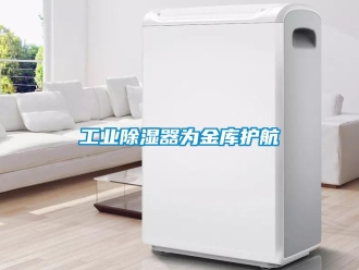 企業(yè)新聞工業(yè)除濕器為金庫護(hù)航