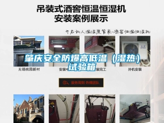 企業(yè)新聞肇慶安全防爆高低溫（濕熱）試驗箱