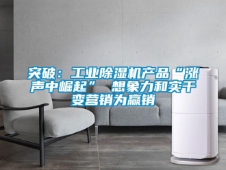 知識百科突破：工業(yè)除濕機產(chǎn)品“漲聲中崛起” 想象力和實干變營銷為贏銷