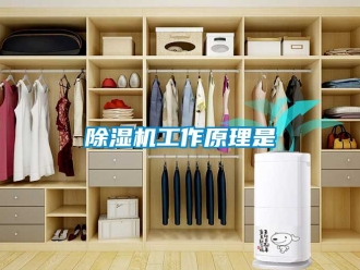 行業新聞除濕機工作原理是
