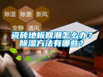 企業新聞瓷磚地板回潮怎么辦？除濕方法有哪些？