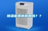 除濕機(jī)真的有用嗎？？