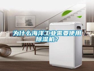 知識百科為什么海洋工業需要使用除濕機？