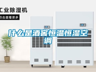 知識百科什么是酒窖恒溫恒濕空調(diào)