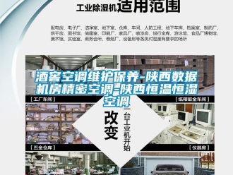 知識百科酒窖空調維護保養(yǎng)-陜西數(shù)據(jù)機房精密空調-陜西恒溫恒濕空調
