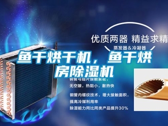 行業新聞魚干烘干機，魚干烘房除濕機