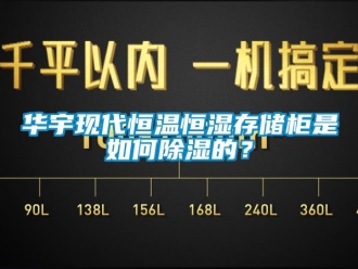 知識百科華宇現(xiàn)代恒溫恒濕存儲柜是如何除濕的？