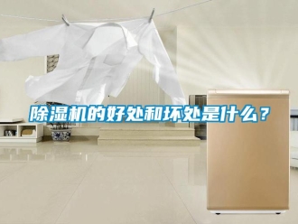 企業(yè)新聞除濕機(jī)的好處和壞處是什么？