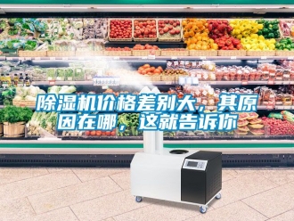 企業新聞除濕機價格差別大，其原因在哪，這就告訴你
