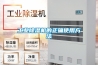 工業(yè)除濕機(jī)的正確使用方法
