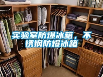企業新聞實驗室防爆冰箱，不銹鋼防爆冰箱