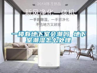 企業新聞一樓有地下室會潮嗎 地下室潮濕怎么處理