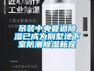 企業新聞吊裝中央管道除濕已成為別墅地下室防潮除濕新寵