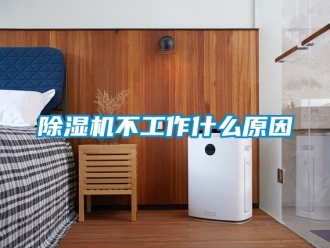 企業(yè)新聞除濕機不工作什么原因