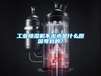 企業新聞工業除濕機不出水是什么原因導致的？
