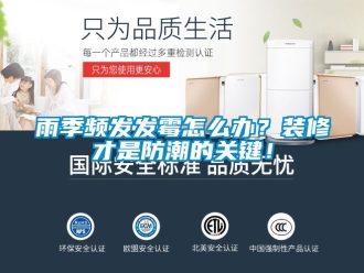 常見問題雨季頻發(fā)發(fā)霉怎么辦？裝修才是防潮的關(guān)鍵！