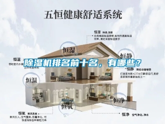 行業(yè)新聞除濕機(jī)排名前十名，有哪些？