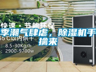 知識百科雨季潮氣肆虐，除濕機手到擒來