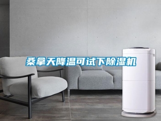知識百科桑拿天降溫可試下除濕機
