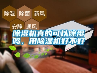 行業新聞除濕機真的可以除濕嗎，用除濕機好不好