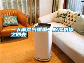 知識(shí)百科一下雨濕氣重重，除濕機(jī)揮之即去