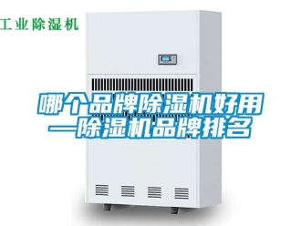 企業(yè)新聞哪個(gè)品牌除濕機(jī)好用—除濕機(jī)品牌排名