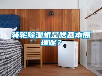 知識(shí)百科轉(zhuǎn)輪除濕機(jī)是啥基本原理呢？